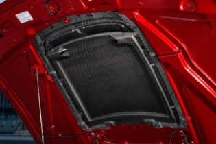 Mustang GT500 Carbon Fiber Rain Tray